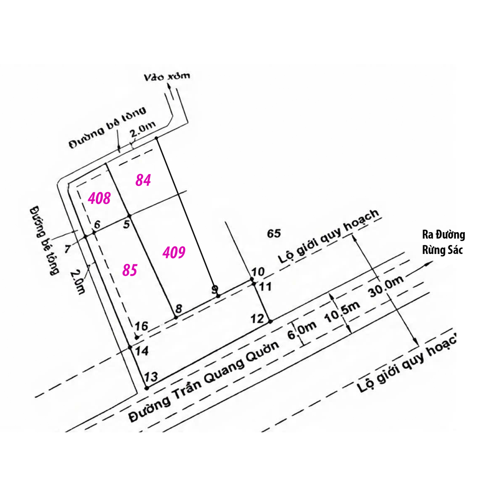 Đất cho thuê đường Trần Quang Quờn – Bình Khánh – Cần Giờ – Tp.HCM