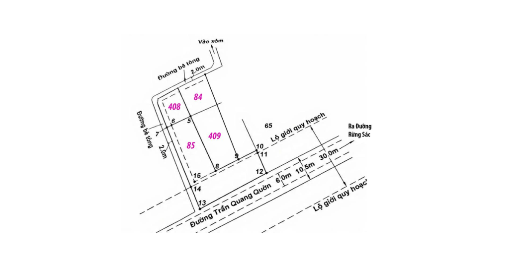 Đất cho thuê đường Trần Quang Quờn - Bình Khánh - Cần Giờ - Tp.HCM